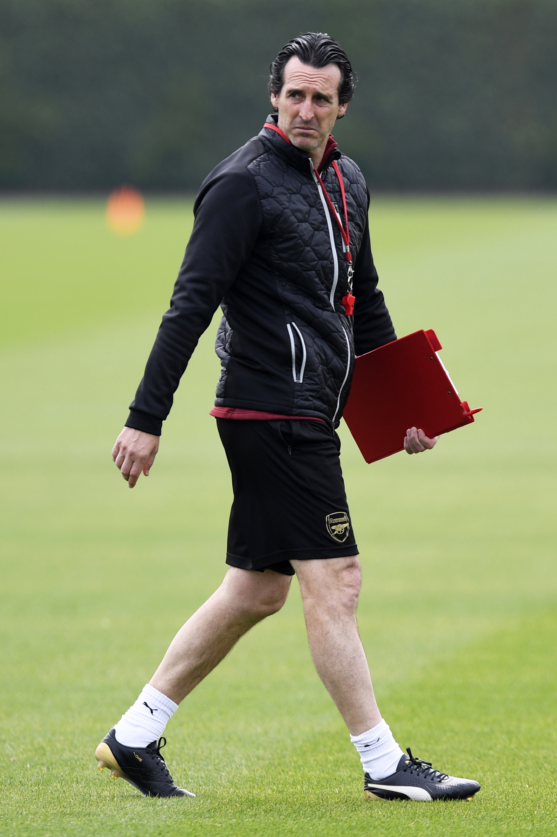 进行训练 进行训练