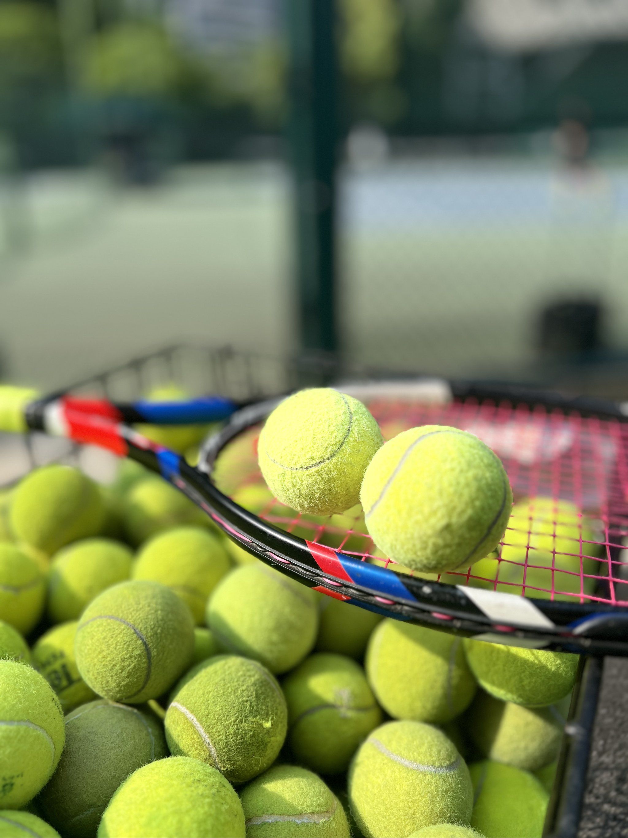 的两大变量 的两大变量